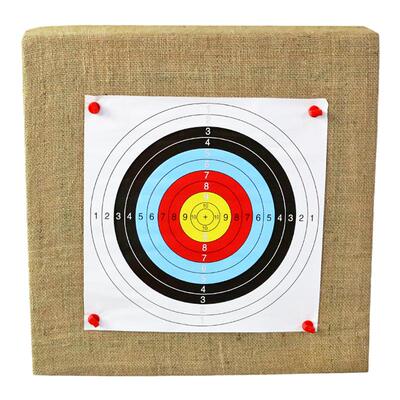 箭靶射击x10户外室内定制用品
