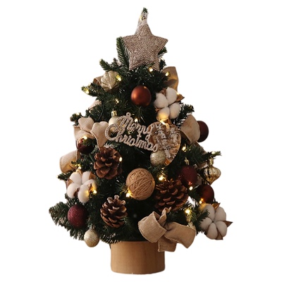 小型加密圣诞树家用迷你桌面摆件圣诞节装饰diy手工ins风场景布置