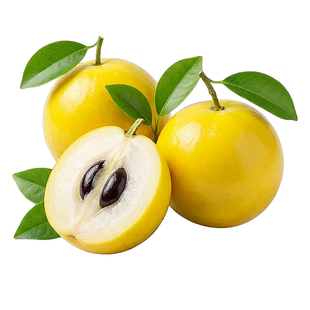 云南冬蜜牛奶黄晶果新鲜5斤大果当季黄金果雅美果孕妇水果整箱