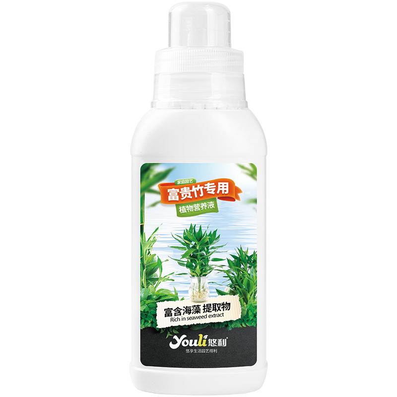 富贵竹专用营养液促生根改善黄叶