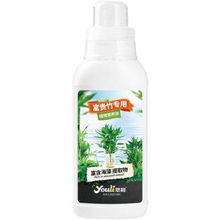 富贵竹专用营养液水培植物生根的节节高水养水竹肥料观音竹肥料