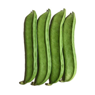红刀豆种子庭院栽培种籽盆栽春季夏秋四季豆角阳台农家菜豆种孑菜