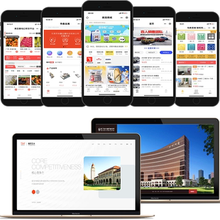 网站小程序公众号app软件开发系统制作api接口对接物联网商城定制