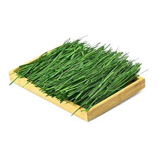 佩安友多叶烘干提摩西草北提手选叶多杆少兔子龙猫豚鼠粮草干草