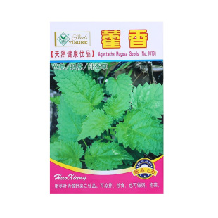 四季阳台盆栽芳香四川可食用正气香藿香种子茴香籽鱼香草蔬菜种籽
