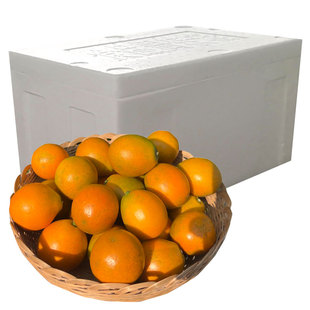 脆蜜金柑广西脆蜜金桔新鲜水果鲜果新年礼盒装水果当季新鲜整箱