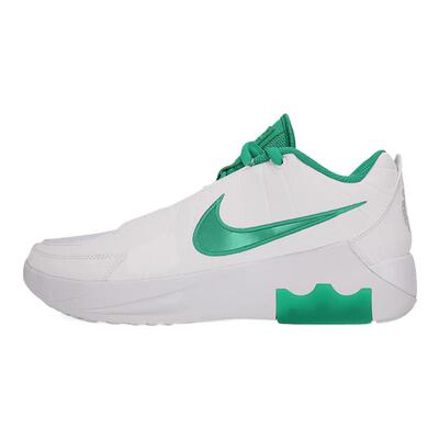 NIKE耐克男鞋LEBRON WITNESS IX EP运动训练篮球鞋HQ8035-101