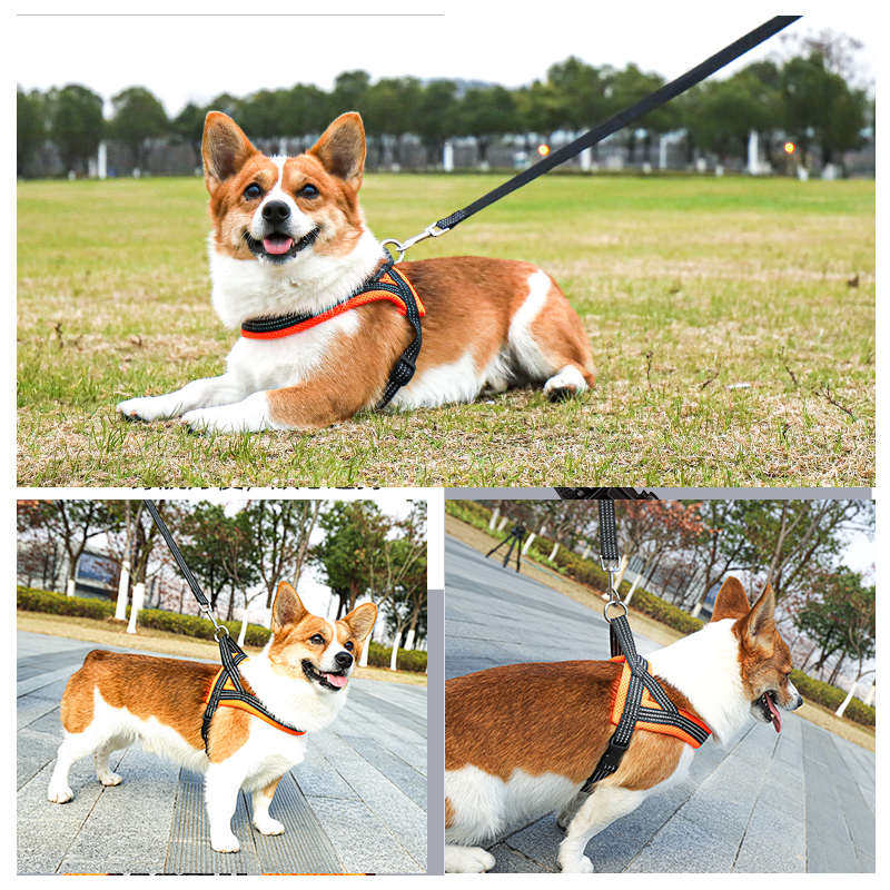 狗狗胸背带牵引绳项圈中型小型犬胸背狗绳子泰迪狗链子遛狗拴狗绳