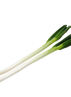 农家山东章丘冬季蔬菜种子