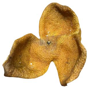 鼎雄厂家直销 5年陈新会梅江圈枝大红陈皮9年老树天马非湿仓堆皮