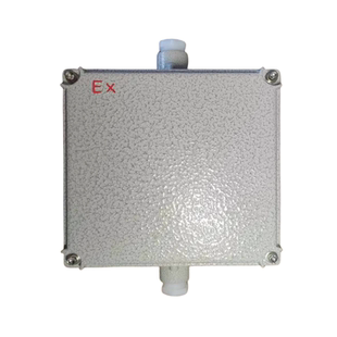 防爆接线箱 防爆接线盒 增安型隔爆型 防爆空箱配电箱定制非标箱