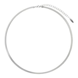 abyb charming 时髦扁蛇骨链通勤百搭小众饰品首饰原创通勤项链女