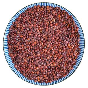 正宗酸枣仁中药材河北邢台野生不掺杂另有酸枣仁粉睡眠好泡水