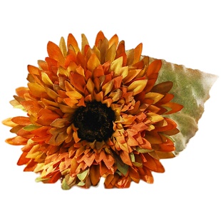 复古北欧ins 风简约玻璃花瓶小清新水培绿萝插花客厅水养创意摆件