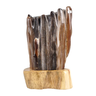 树化玉落地摆件客厅玄关新中式摆件天然木化石收藏装饰品镇石摆设