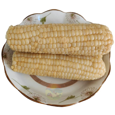 深色粒甜浅色粒糯美味玉米