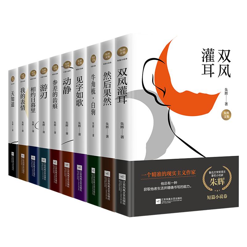 全10册朱辉文集散文小说卷