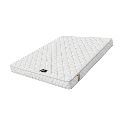 防螨抑菌家用椰棕床垫四季通用薄