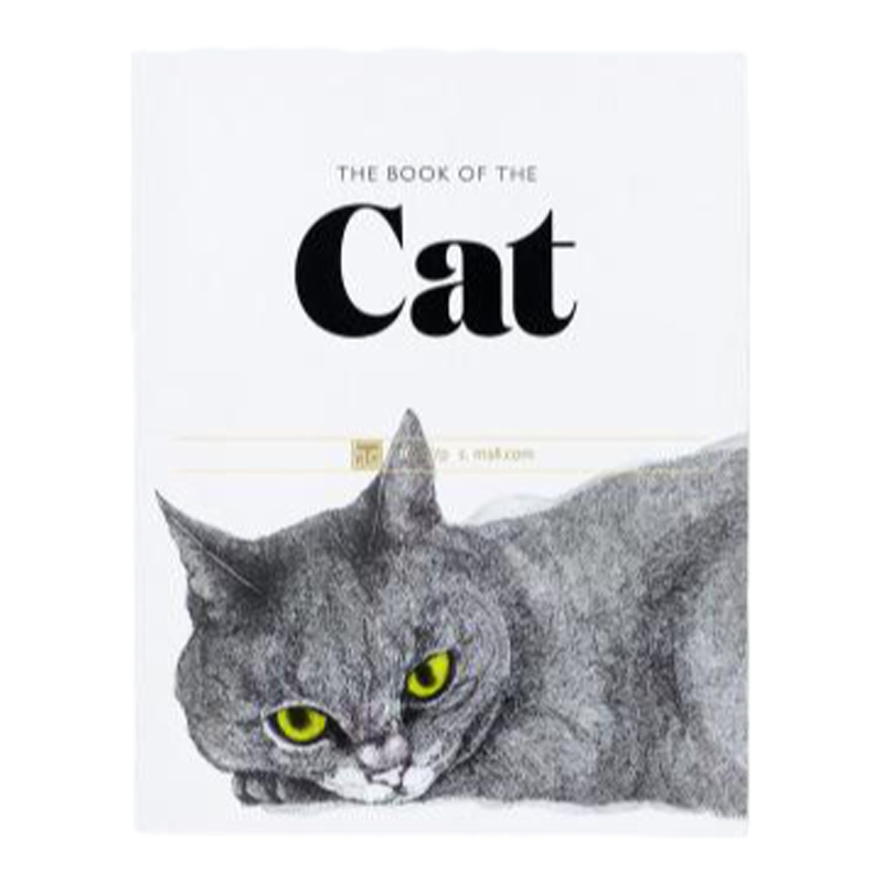 正版原版进口猫插图艺术