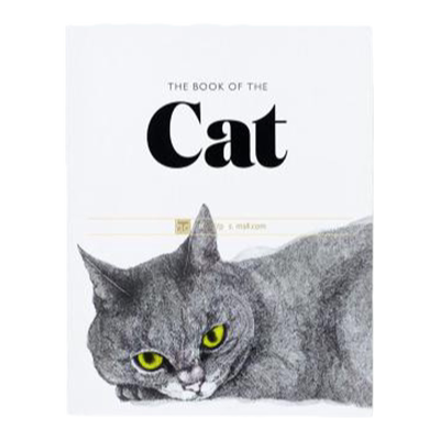 正版原版进口猫插图艺术