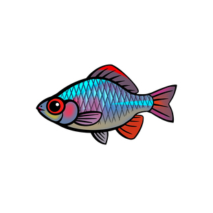 路亚钓鱼刺绣魔术贴徽章个性马口鳑鲏溪石斑士气臂章背包贴章鳜鱼