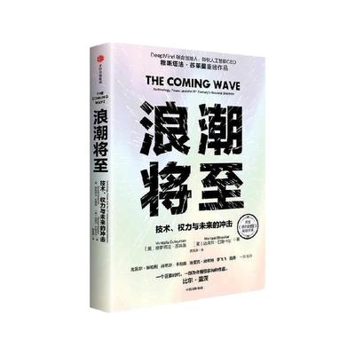 浪潮将至穆斯塔法苏莱曼