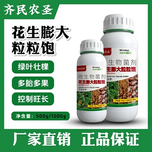 花生膨大粒粒饱花生控秧增产籽粒饱绿叶壮棵高产丰收肥料水枪喷施