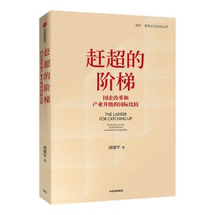 赶超的阶梯 周建军  著 国家产业  产业转型升级 战略研究 国企改革 中信出版社图书  正版