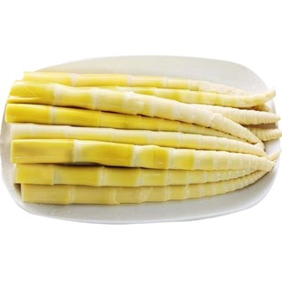 新鲜笋野生小竹笋小春笋清水笋嫩笋尖火锅笋鲜笋高山嫩竹笋袋装笋