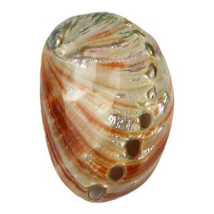 天然红花鲍鱼壳鱼缸造景水族箱装饰品创意摆件海螺贝壳拍摄道具