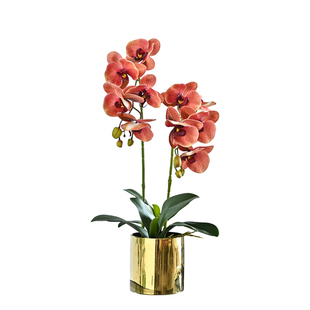 蝴蝶兰仿真花摆件客厅手感兰花假花北欧轻奢风桌面花艺餐桌花摆花