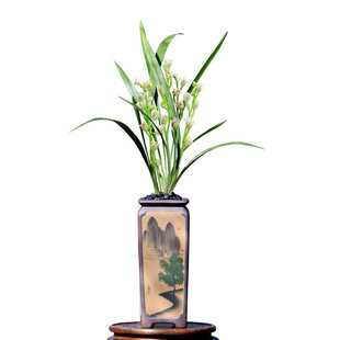 翁源兰花喜花里四季建兰水仙瓣奇花正品彩云追月富山奇蝶带花绿植