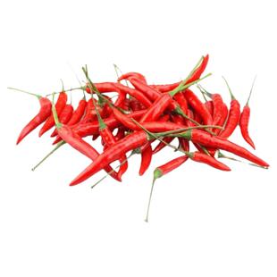 朝天椒苗子种苗辣椒苗小米辣小米椒树树苗南方盆栽蔬菜菜苗孑秧苗