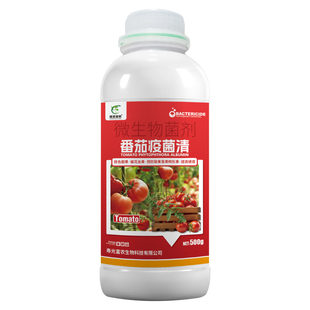 番茄病菌清西红柿抑菌疫菌清病毒病专用药微生物菌剂杀菌剂叶面肥