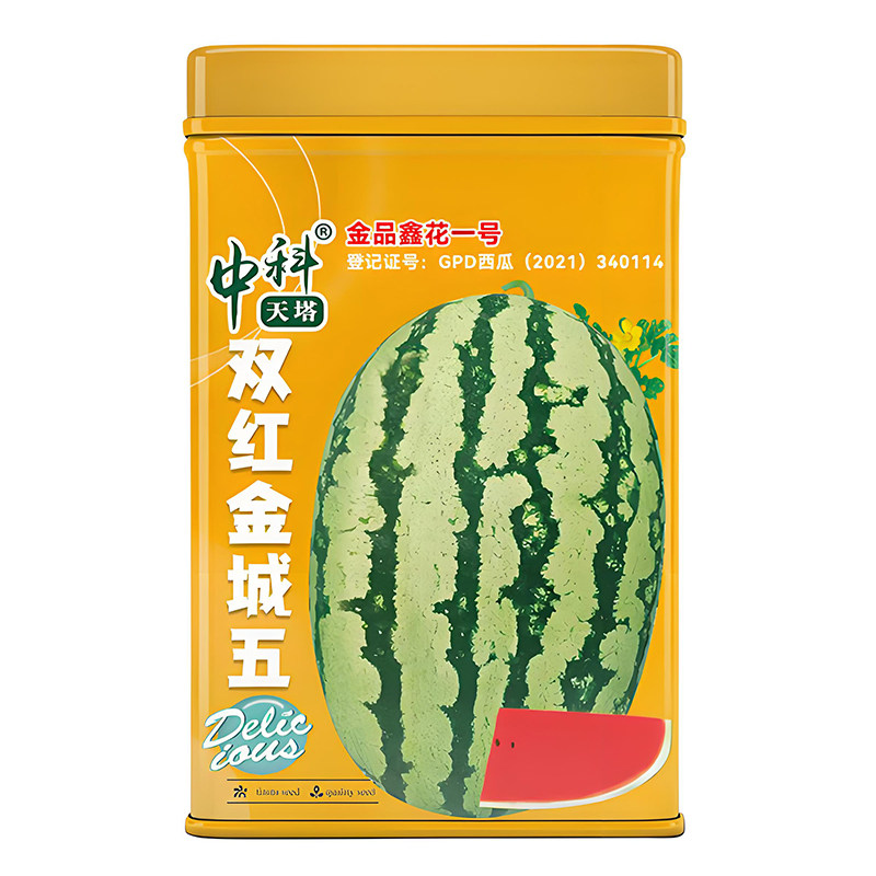 双红金城五西瓜种子水果种子