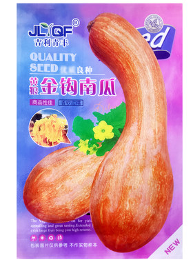 黄狼金钩南瓜种子香甜面长弯南瓜