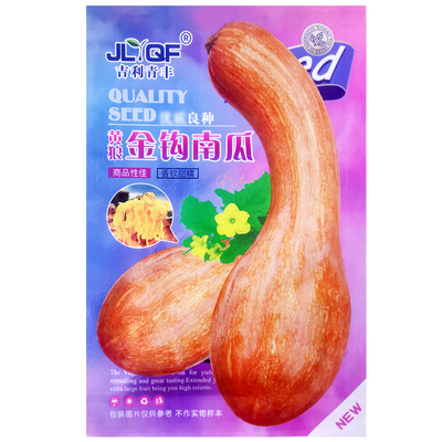 黄狼金钩南瓜种子香甜面长弯南瓜