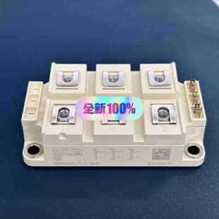 议价进口全新原装正品SKKR300/0.2-BVR