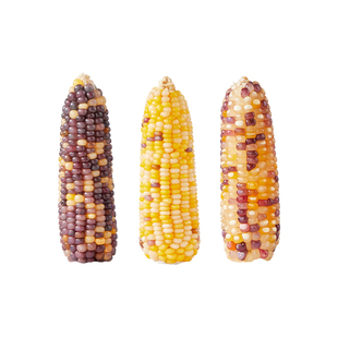 布卡星仓鼠零食玉米磨牙棒粮食金丝熊专用饲料花枝鼠解闷用品玩具