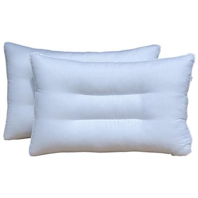 网红款枕套一对装单个枕头套装40cmx60cm家用单人枕芯男整头整套