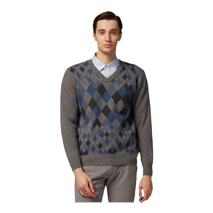 圣雪绒秋冬新品羊绒衫男士V领复古格纹加厚提花大码针织衫