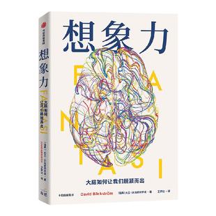 想象力 大脑如何让我们脱颖而出 大卫贝克斯特罗姆著 与其说我们是智人 不如说我们是幻人 精于想象和幻想的人 中信出版
