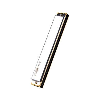 敦煌24孔复音口琴正品初学入门专业演奏练习初学专业乐器DN24-1