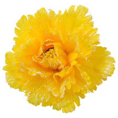 跳舞手拿花牡丹花舞蹈道具