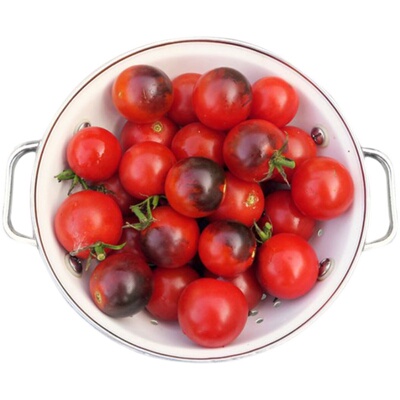 进口传家宝番茄苗秧甜开胃酒白妃