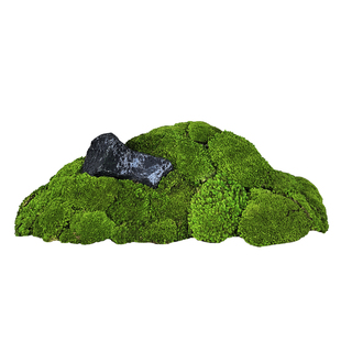 永生苔藓植物墙白发藓干花背景墙青苔造景室内枯山水景观仿真苔藓