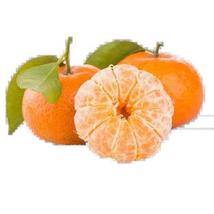 现货正宗金秋砂糖橘橘子新鲜10当季水果斤薄皮纯甜柑橘蜜桔小桔子