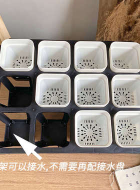 包邮特厚浅方盆组合多肉塑料景天生石花盆小黑方白色叶插盆栽pp盆