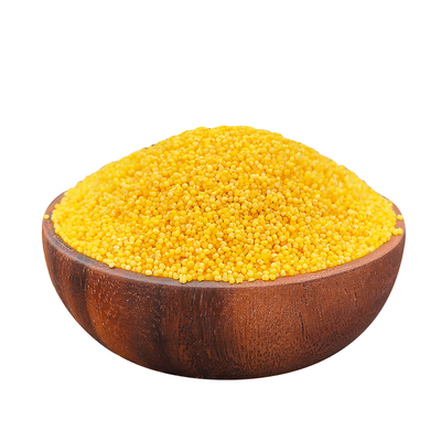 2025年新米赤峰黄小米杂粮五谷小米粥小黄米东北香糯粘稠5斤