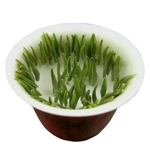 2025春新绿茶贵州梵净山明前头采翠峰 雀舌茶叶浓香炒青特级送礼